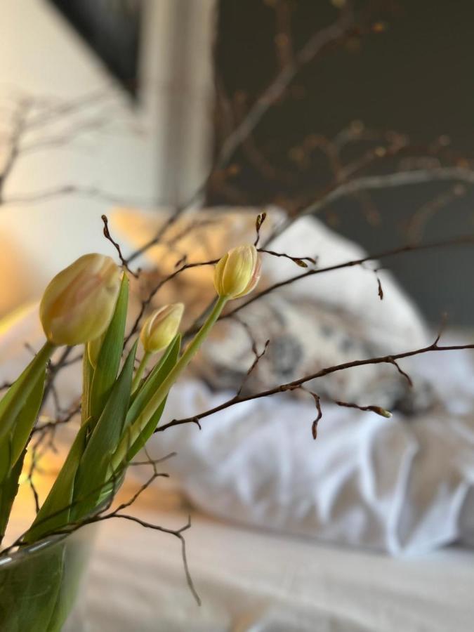 Froejel Resort & Spa 외부 사진