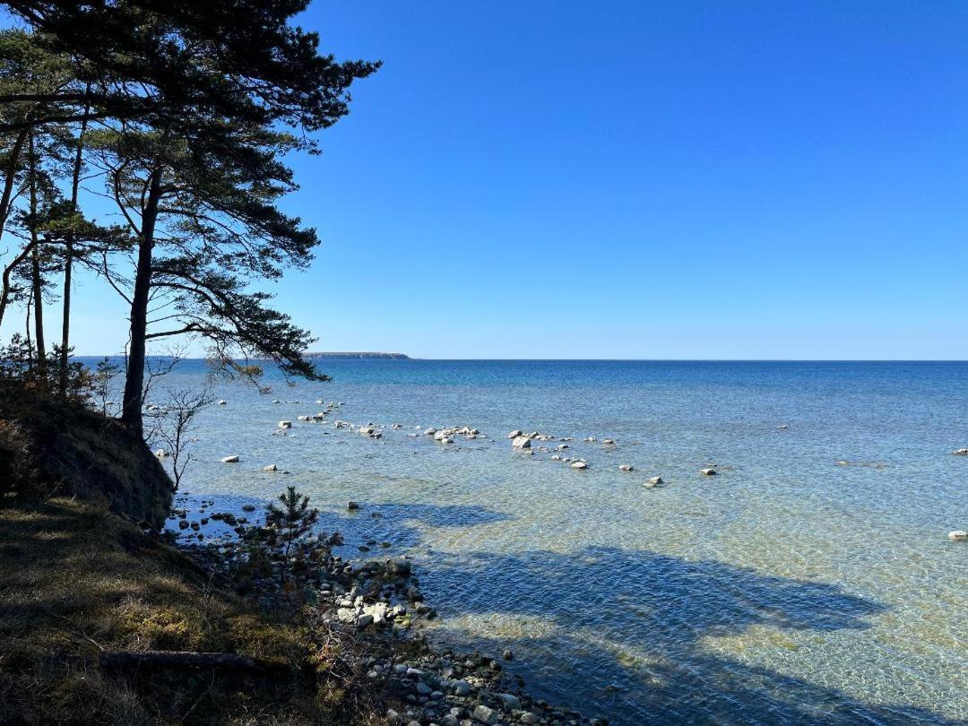 Froejel Resort & Spa 외부 사진