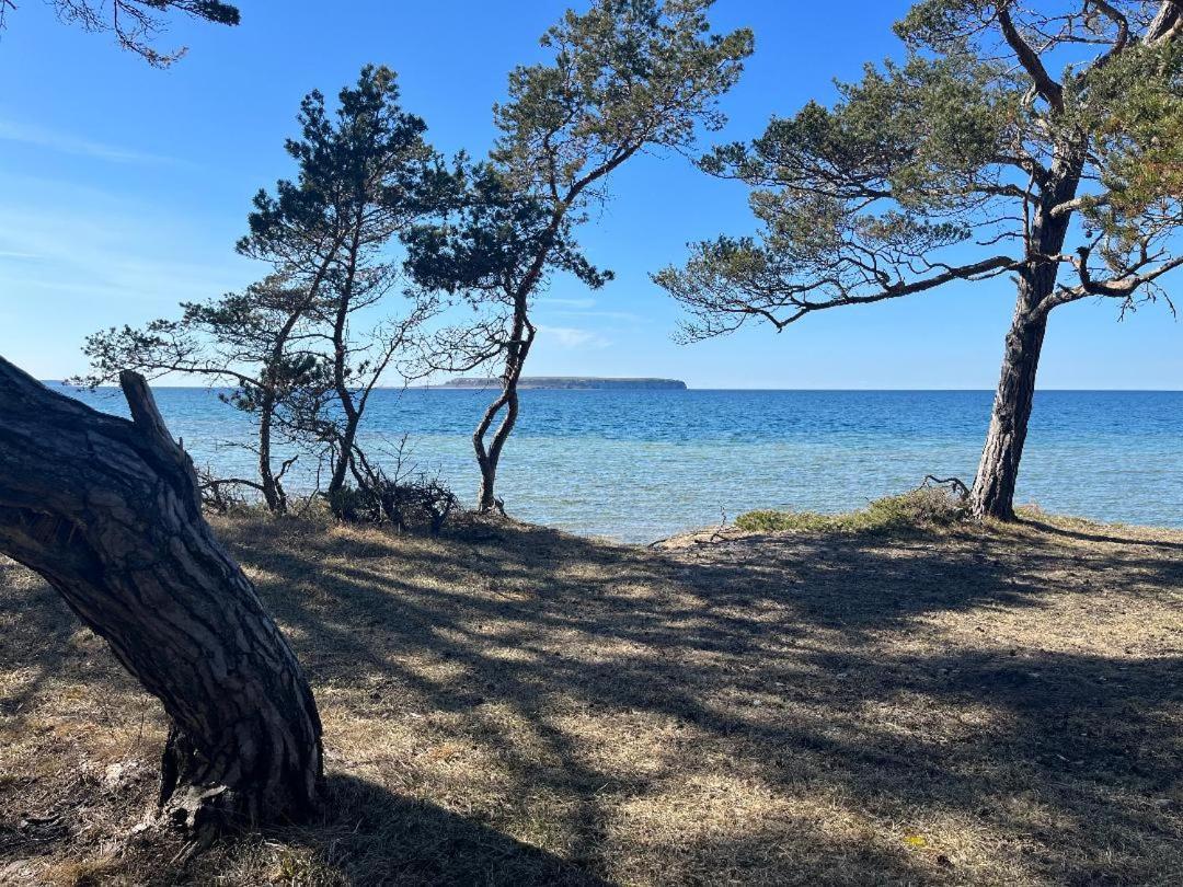 Froejel Resort & Spa 외부 사진